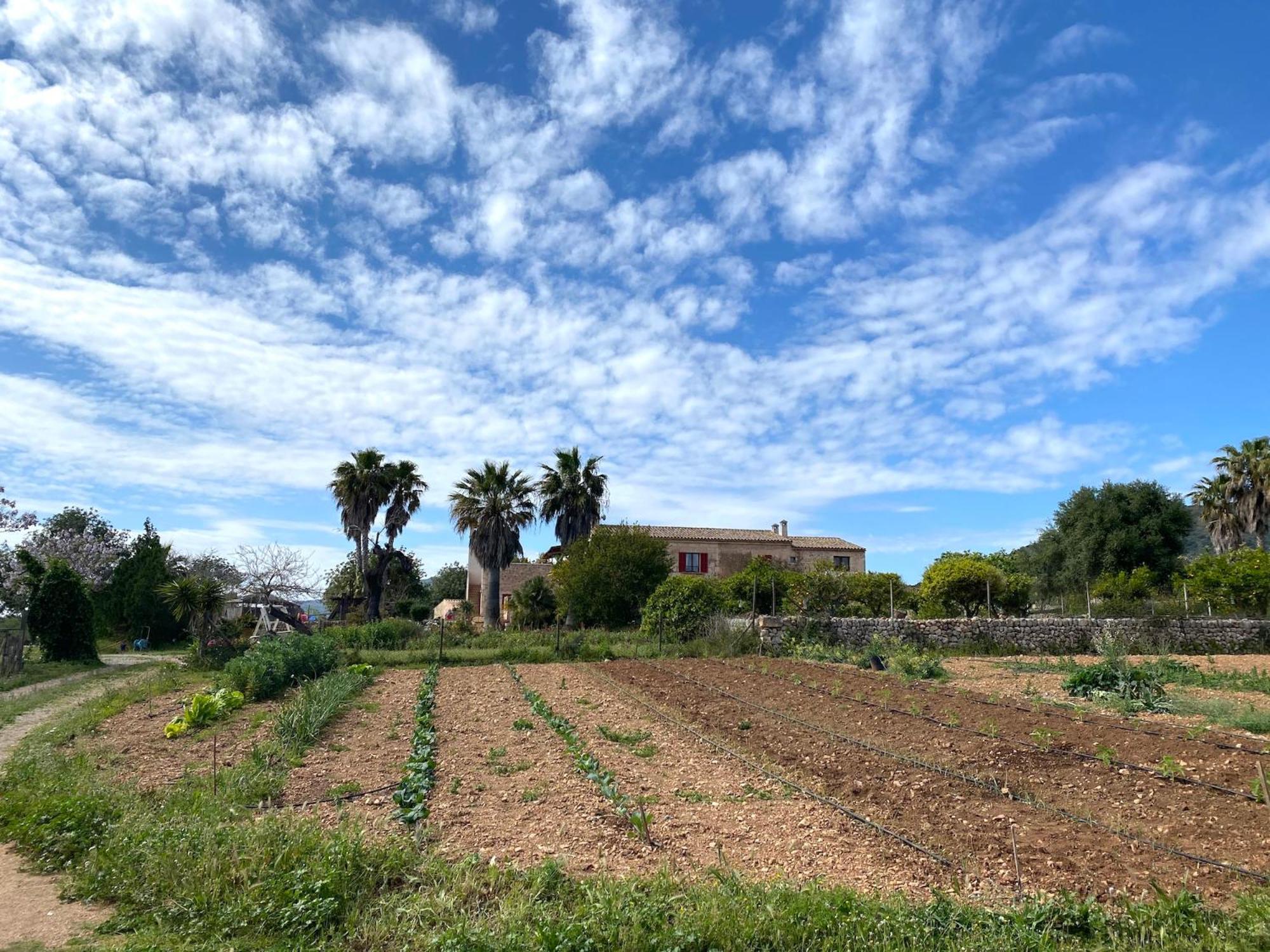 Finca Hotel Ses Cases Noves Sant Llorenc Des Cardassar Εξωτερικό φωτογραφία